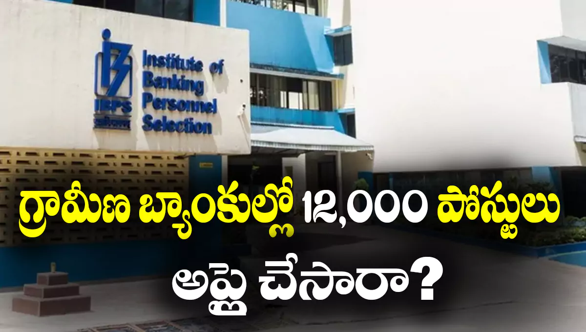 IBPS RRB Notification 2025