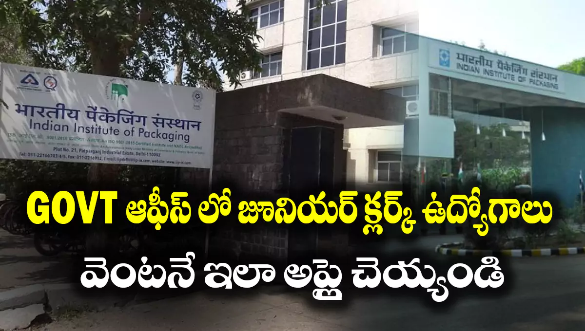 Indian Institute of Packaging Jobs 2025